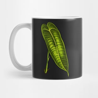 Anthurium Veitchii leaf botanical illustration Mug